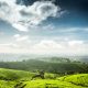 tea-plantations-munnar-tamil-nadu-india